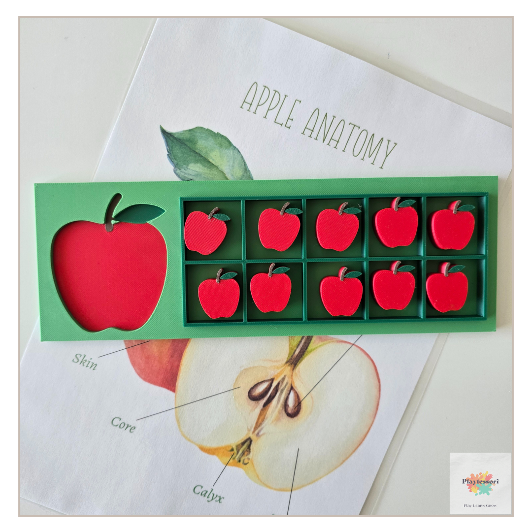 An overhead shot of a green, 3D-printed educational tray with an apple cutout on the left and a 10-frame grid on the right. A mesh bag next to it contains ten small, red apple counters. The tray is placed on a paper sheet with an "Apple Anatomy" diagram.