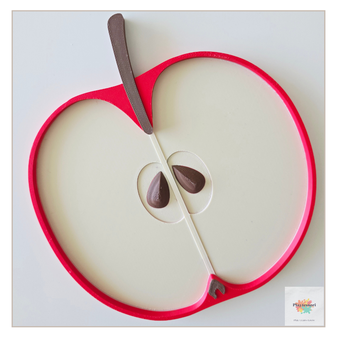Appel Dwarsdoorsnede - Montessori Bio-Sensorische Tray