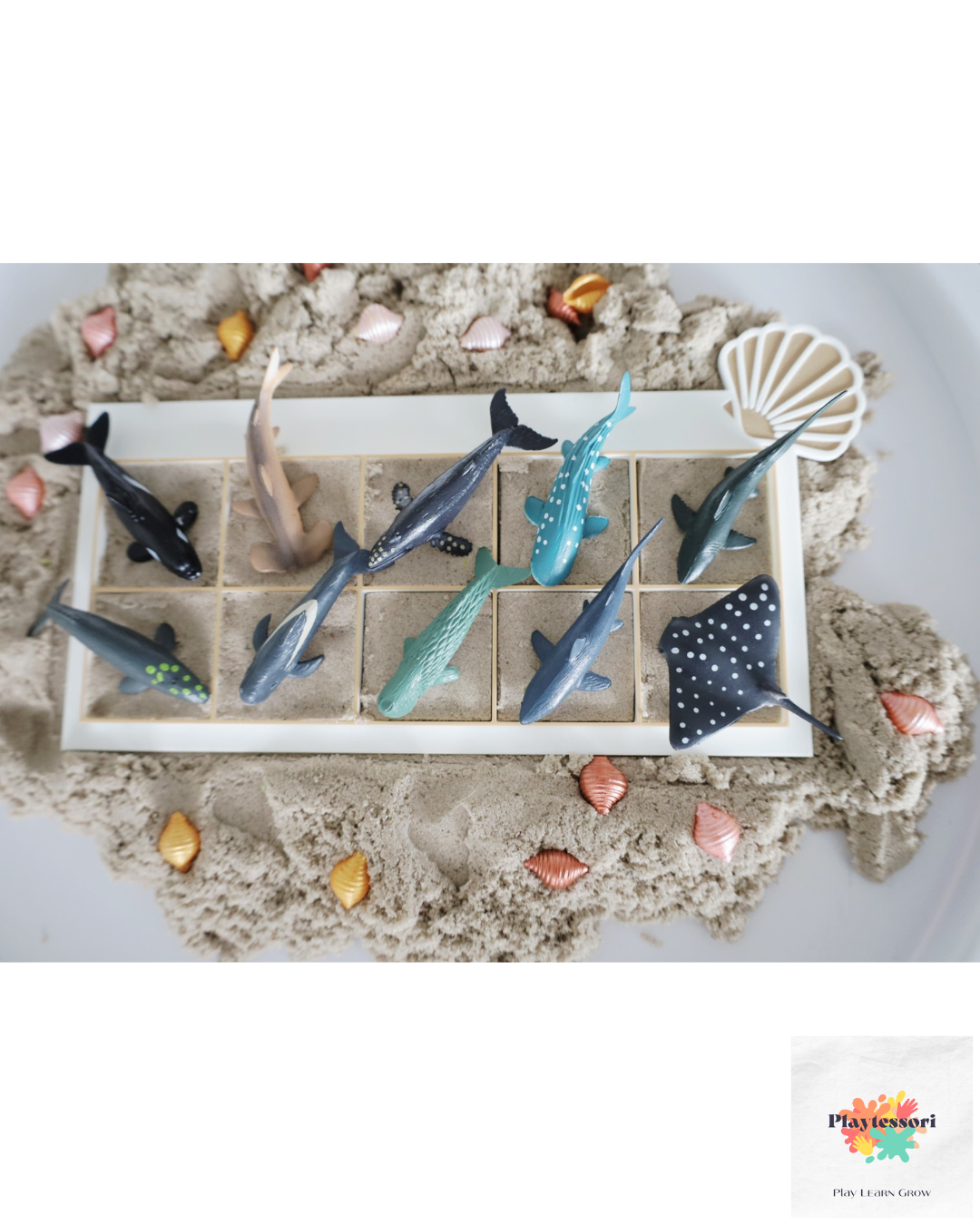 Sensorische Montessori 10 Frame – Schelp & Zee Set