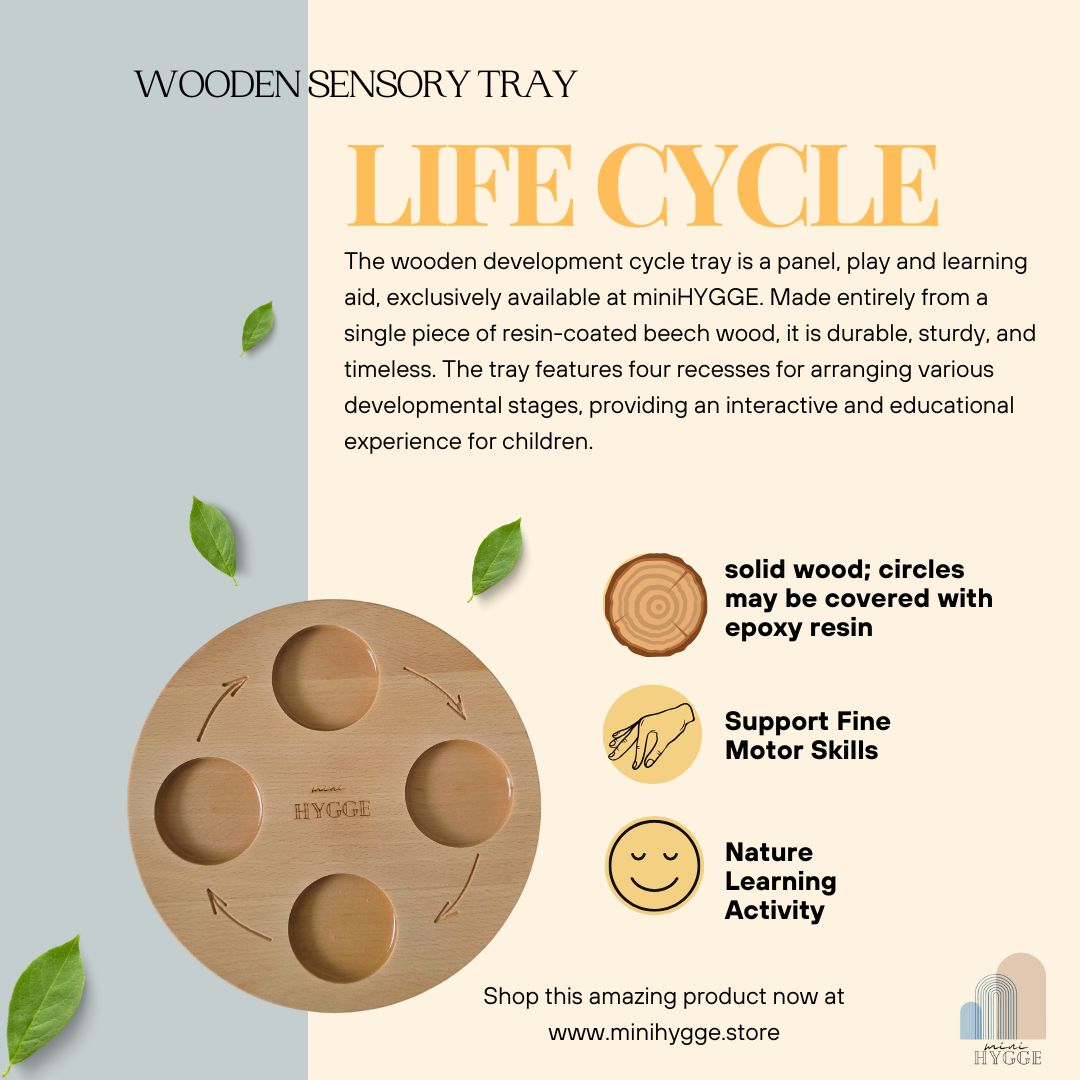 Wooden Tray Life Cycle