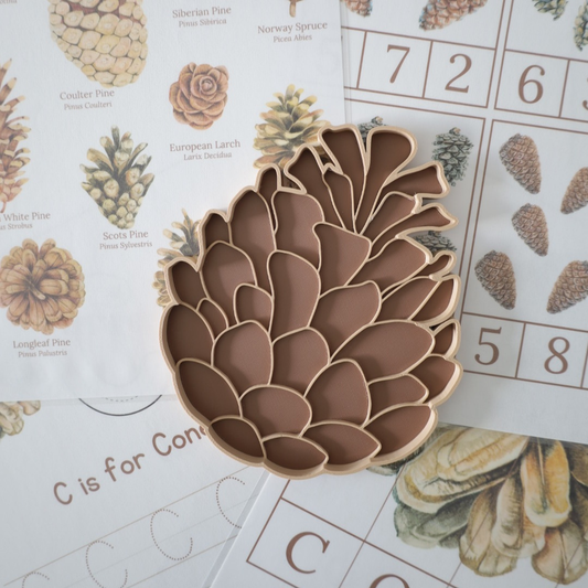 Sensorische Vulvorm Dennenappel speeltray – Montessori herfst speelgoed