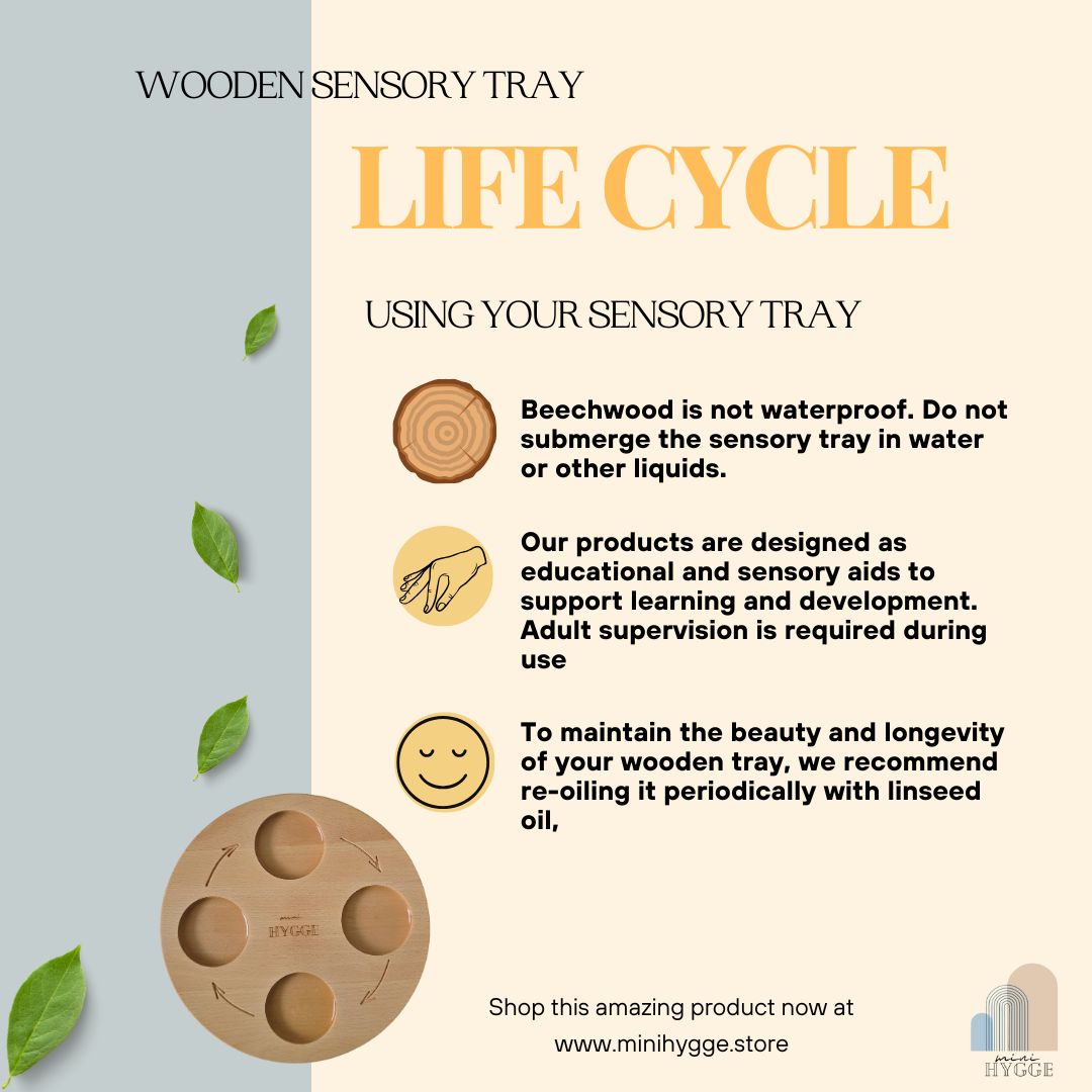 Wooden Tray Life Cycle