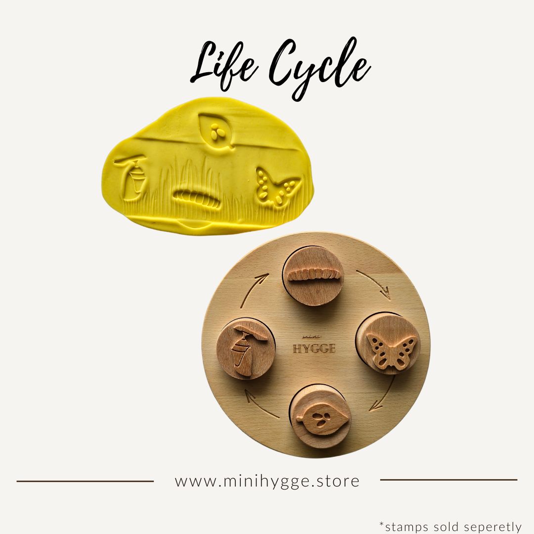 Wooden Tray Life Cycle