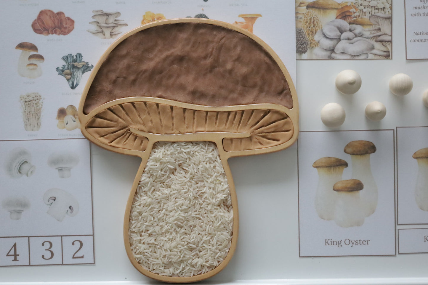 Mushroom Sensory Tray