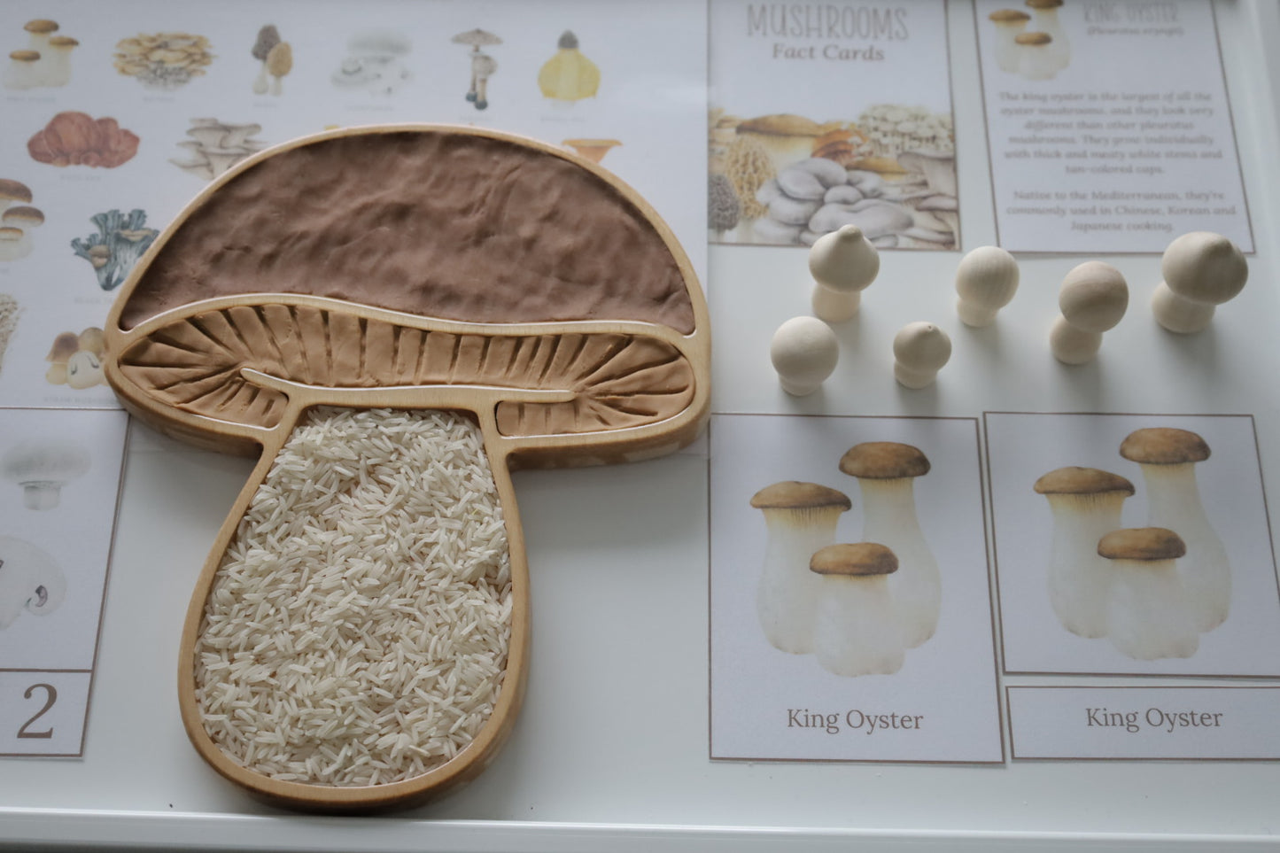 Mushroom Sensory Tray