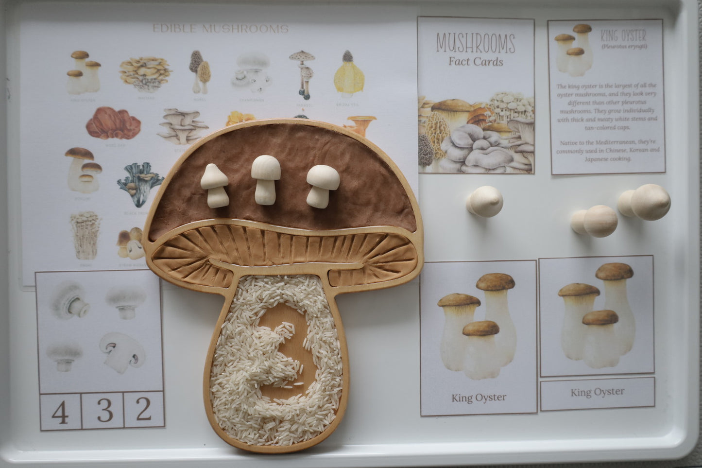 Mushroom Sensory Tray