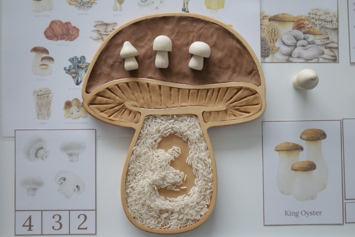 Mushroom Sensory Tray