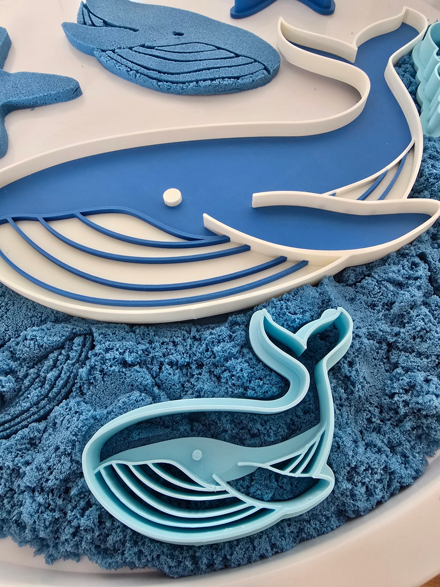Walvis Speelvorm en Snijders