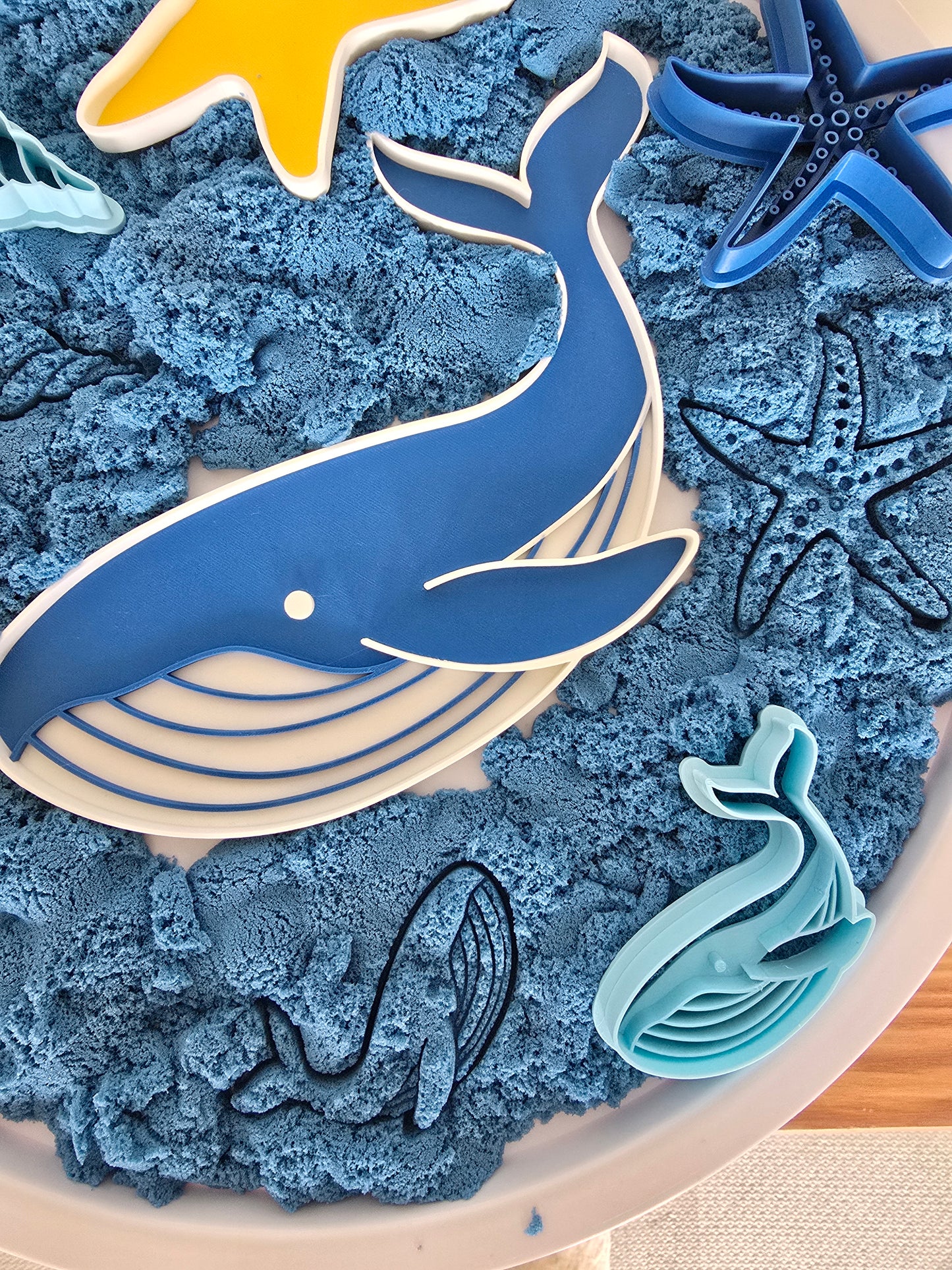 Walvis Speelvorm en Snijders